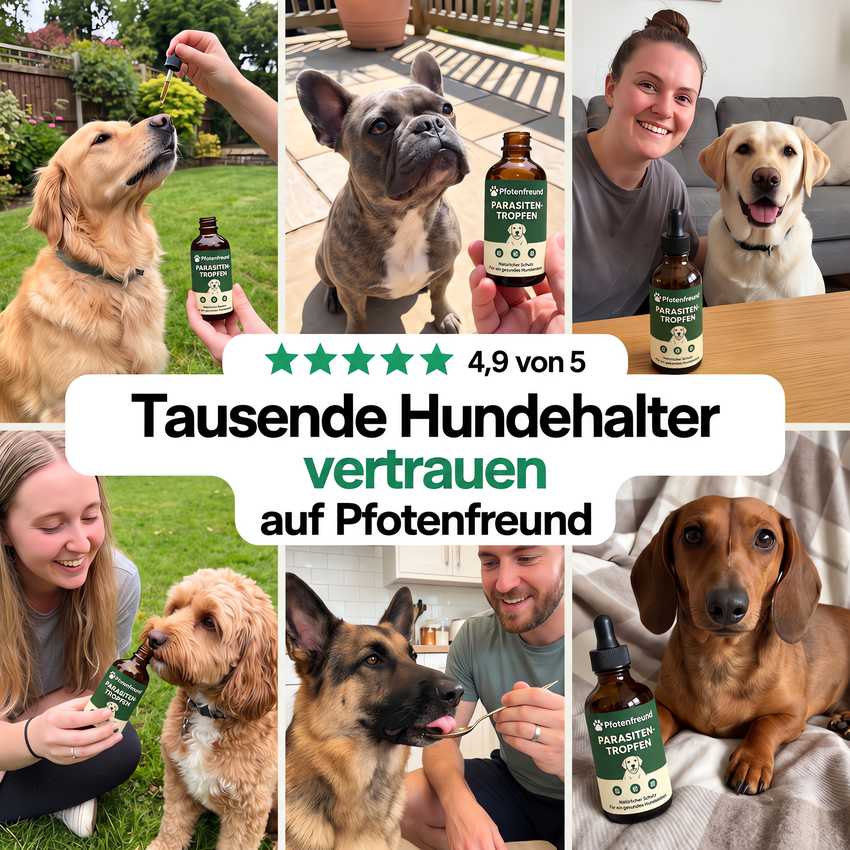 Tausende Hundehalter vertrauen auf Pfotenfreund
