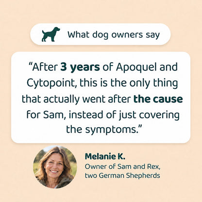 What dog owners say