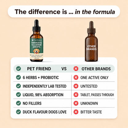 Pet Friend vs other brands