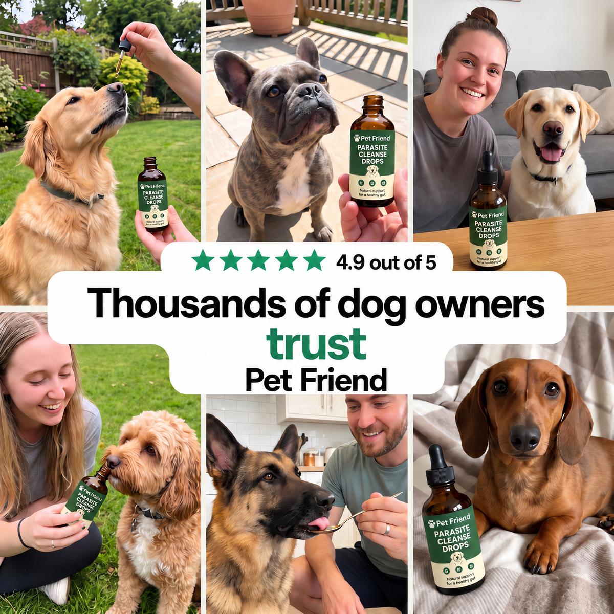 Thousands of dog owners trust Pet Friend